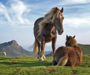 yapboz Dağlarda iki at otlatma